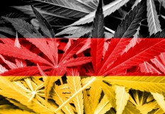 Cannabis allemagne