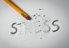 stress