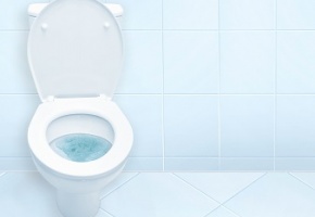 Science décalée : l'eau des WC révèle le niveau de vie